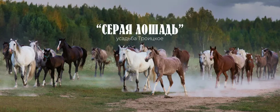 Ярмарка 28 апреля 2025 года по адресу: Нижегородская область, Воскресенский район, село Троицкое, ул. Кирова, 43